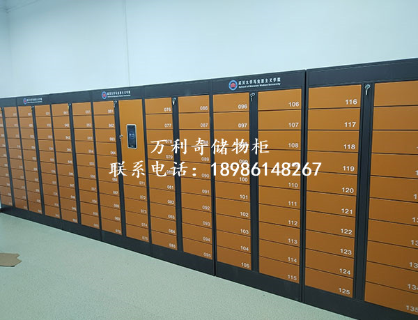 武漢大學(xué)馬克思主義學(xué)院